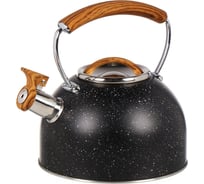 Чайник DANIKS нержавеющая сталь, 2.7 л, свисток, ручка бакелит, черный мрамор, индукция, pr-2206 429631