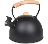 Чайник DANIKS нержавеющая сталь, 2.5 л, свисток, матовый, ручка металл, дерево, черный, msy-078b 347884
