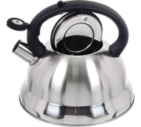 Чайник DANIKS нержавеющая сталь, 2.8 л, свисток, матовый, ручка с силиконовым покрытием, msy-013 218483