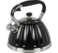 Чайник DANIKS нержавеющая сталь, 3 л, свисток, ручка бакелит, индукция, черный, gs-04611b 438335