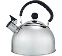 Газовый чайник Добрыня 2.5 л, DO-  2907