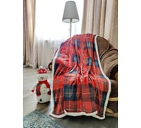 Двуслойный плед Зимняя сказка 160x200 см, клетчатый, красный 68004-9