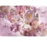 Набор сервировочных салфеток Nouvelle, плейсматов 4 шт. floristry, 43x28 см 4430625-Н4 2