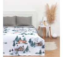 Покрывало Этель 2 спальное Winter village, 180x210 см, микрофибра 7787711