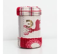 Плед Этель Скандинавия 150х200 см, 100% п/э, корал-флис 220 гр/м2 4566529