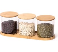 Набор контейнеров для хранения сыпучих продуктов ЗПИ Альтернатива Бамбук на подставке М8541