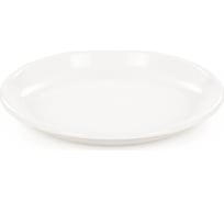 Тарелка ЗПИ «Альтернатива» малая, 185 мм, микс М591