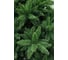 Искусственная ель BEATREES Корона 1.3 м 1011713 7