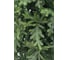Искусственная ель BEATREES ABSOLUTE 1.9м 1030819 2