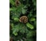 Искусственная ель BEATREES Primula 1.8 м WE14G-MH60/A 2