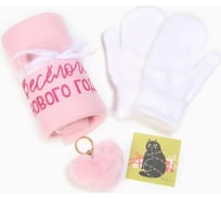 Подарочный набор Этель Веселого Нового года плед и акс 9899892