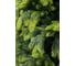 Искусственная ель BEATREES Cosmos 2.4 м JK08-3903T 2