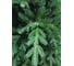 Искусственная ель BEATREES Vancouver 2.1 м PG51G-BH70 2