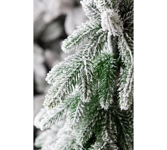 Искусственная новогодняя елка CRYSTAL TREES АНДОРРА в снегу, литая, высота 240 см KP61240