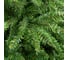 Ель Royal Christmas Washington Promo Hinged, 180 см 98180 4