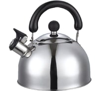 Чайник Добрыня газовый DO- 2,5л 2903