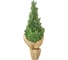 Ель Royal Christmas Spitsbergen Table PE/ PVC, 90 см 977090 5