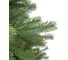 Ель Royal Christmas Georgia Premium PVC/PE, 210 см 290210 2