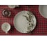 Тарелка BILLIBARRI Dora Asian, фарфор, размер 25,9х2,8см 806345854365 3