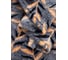 Покрывало (плед) Guten Morgen Велсофт, веточки, 150x200 см ПлФ-Вет-150-200 4