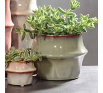 Ваза SCHEURICH Vase Fusali керамика, h 24,5 см, зеленый 069249