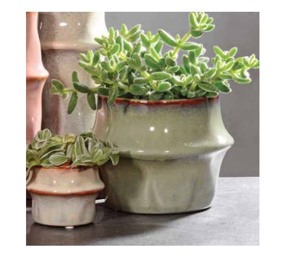 Ваза Scheurich Vase Fusali керамика, h18 см, зеленый 069248 1