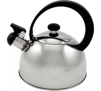 Газовый чайник Добрыня DO 2,0 л 2909