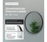 Зеркало в раме GENGLASS RAUNTEL Black M GGM-03-2-1 2