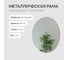 Зеркало в раме GENGLASS RAUNTEL White L GGM-03-3-2 3