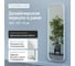 Зеркало в раме GENGLASS KUVINO White M GGM-18-3-1 2