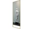 Зеркало в раме GENGLASS HALFEO Slim Leg Gold XL GGM-15-1-3 1