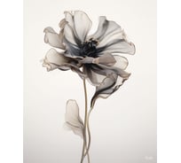 Картина Fbrush Нежная композиция 1 40х50 см kt45-14612