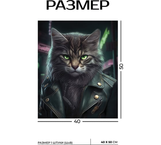 Картина Fbrush Брутальный кот 2 40х50 см kt45-14243