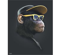 Картина Fbrush Ботан 1 40х50 см kt45-14599