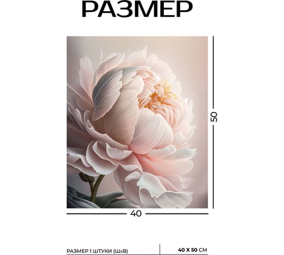 Картина Fbrush Нежные пионы 1 40х50 см kt45-14226