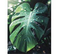 Картина Fbrush Монстера 1 40х50 см kt45-14237