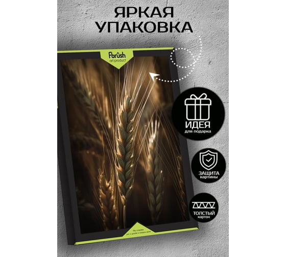 Картина Fbrush Пшеница 1 40х50 см kt45-14246