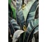 Картина Fbrush Тропические листья 50x70 см kt57-14547 1