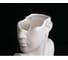 Ваза Homium Style, H28 см, цвет белый SJ2048white 7