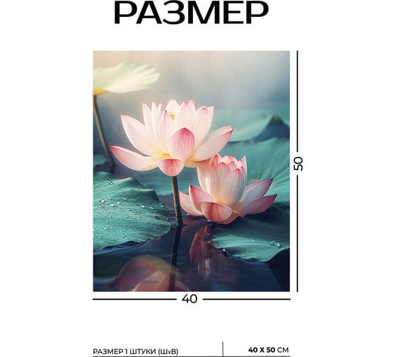 Картина Fbrush Райский цветок 1 40х50 см kt45-14229