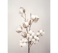 Картина Fbrush Цветочные вдохновения 2 40х50 см kt45-14564