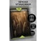 Картина Fbrush Пшеница 2 40х50 см kt45-14247 3