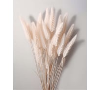 Картина Fbrush Нежная поэзия 1 40х50 см kt45-14560