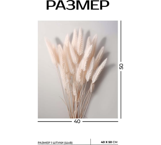 Картина Fbrush Нежная поэзия 1 40х50 см kt45-14560
