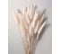Картина Fbrush Нежная поэзия 1 40х50 см kt45-14560 1