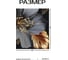 Картина Fbrush Листья роскоши 1 40х50 см kt45-14554 2