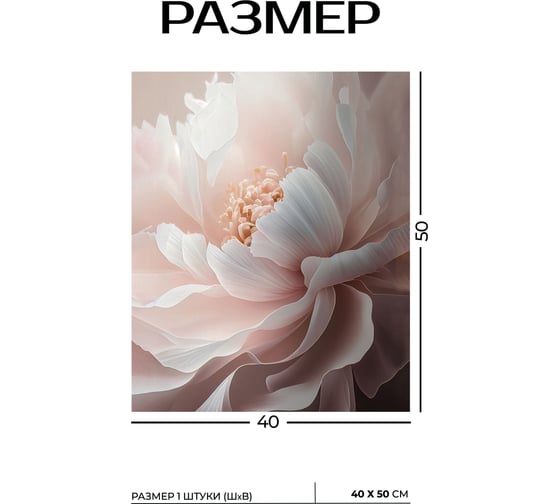 Картина Fbrush Нежные пионы 3 40х50 см kt45-14228