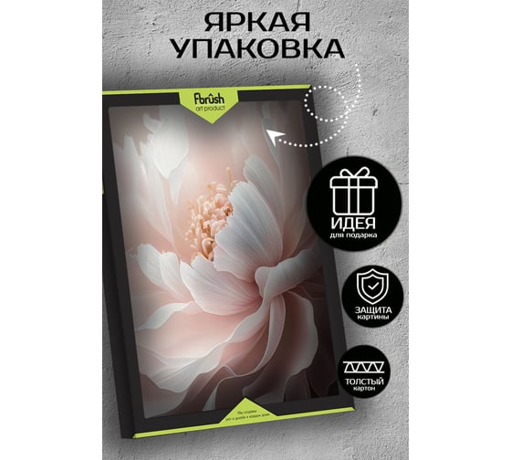 Картина Fbrush Нежные пионы 3 40х50 см kt45-14228