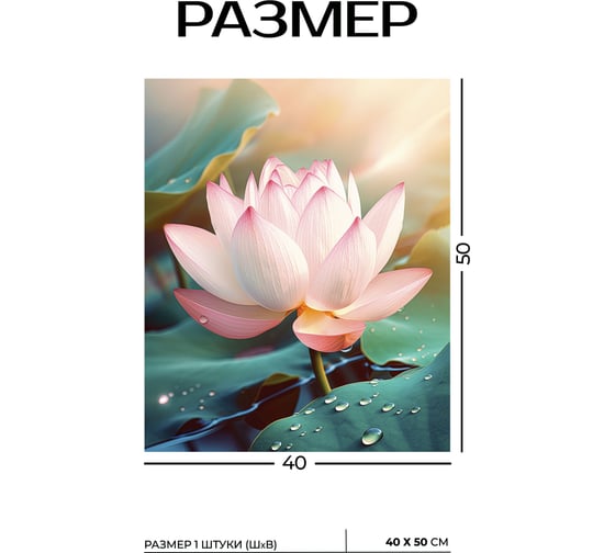 Картина Fbrush Райский цветок 3 40х50 см kt45-14231