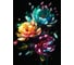Картина Fbrush Неоновая живопись 1 50x70 см kt57-14268 1